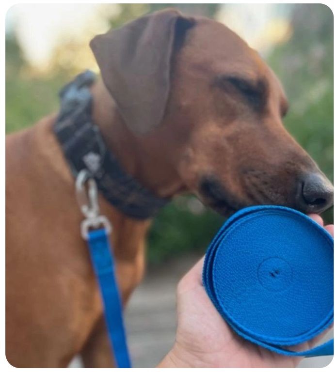 Návrh bez názvu - 2025-10-30T100831.251